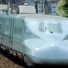 806mmのさくら