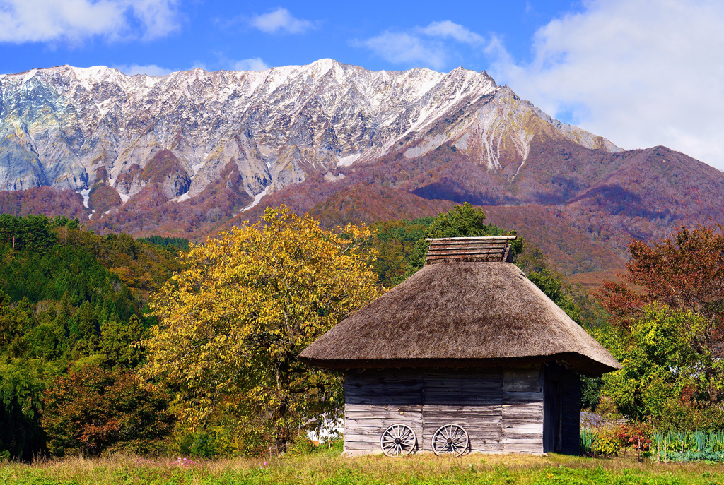 奥大山の秋