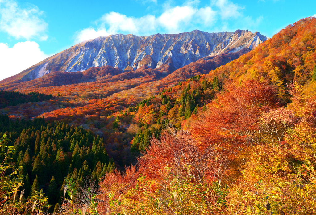 2021.11.4 大山鍵掛峠紅葉