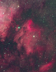 ペリカン星雲