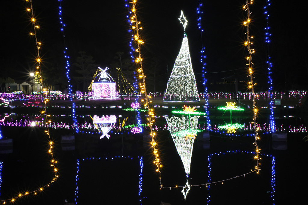 あやめ池公園イルミネーション