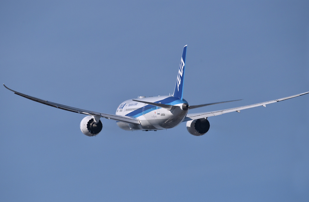 B787-8