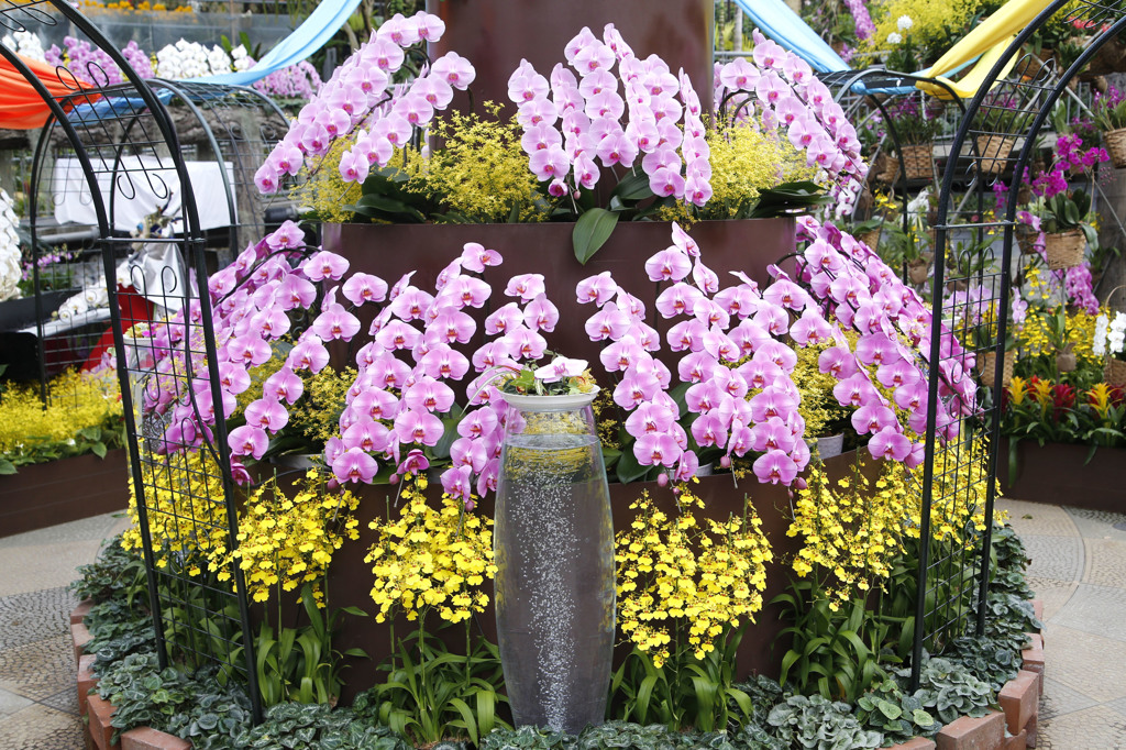 とっとり花回廊