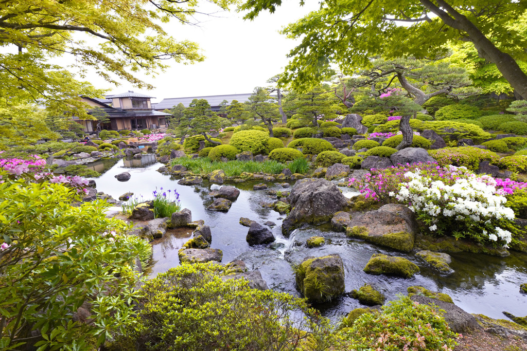 新緑の由志園