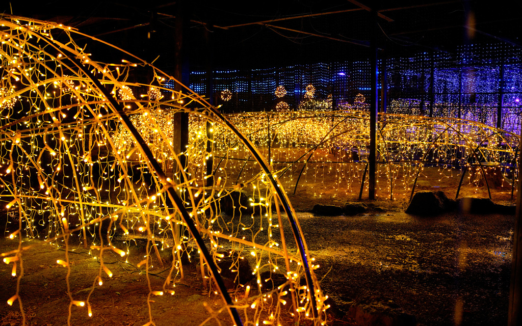 光の日本庭園 ジパング