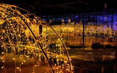 光の日本庭園 ジパング