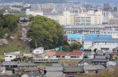 冑山神社と新幹線・姫新線