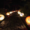 大山寺大献灯