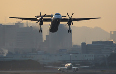 夜明けの伊丹空港