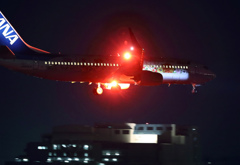 フラワージェット到着