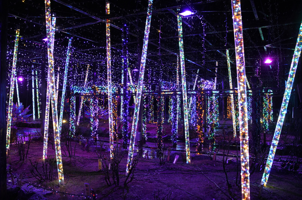 光の日本庭園 ジパング