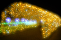 花回廊イルミネーション