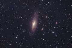 NGC7331