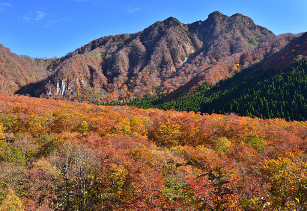錦秋の大山