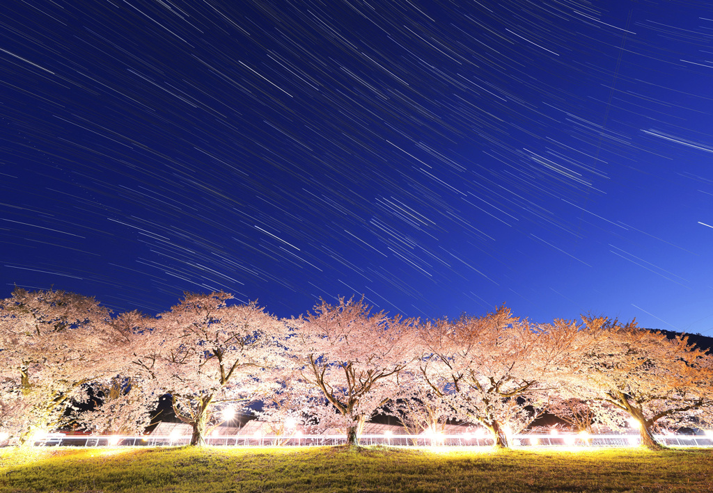 豊房の桜と沈む冬の大三角