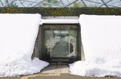 雪の花回廊