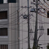 800ｍｍレンズテスト