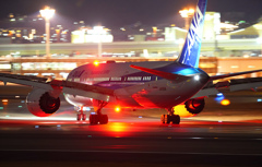 ANA B787到着