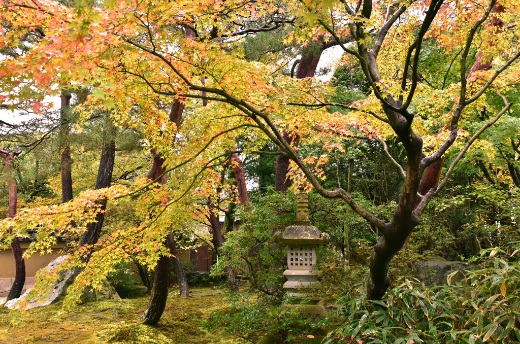 寿立庵