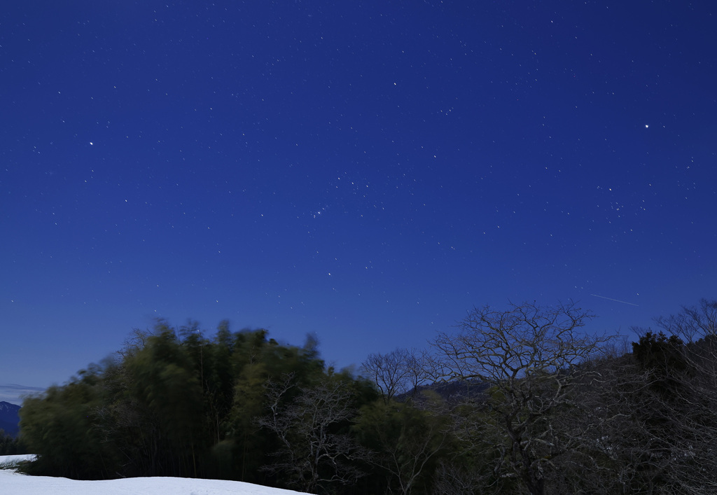月夜のオリオン座