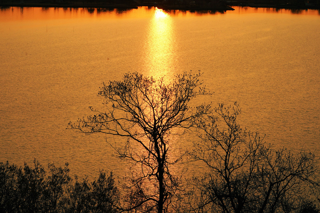 東郷湖夕暮れ