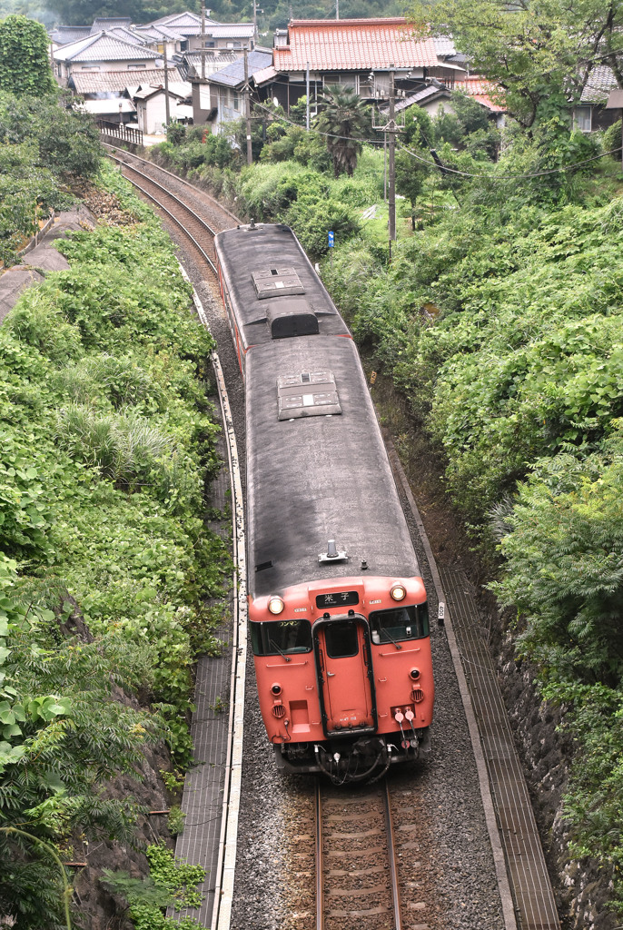 キハ47タラコ列車