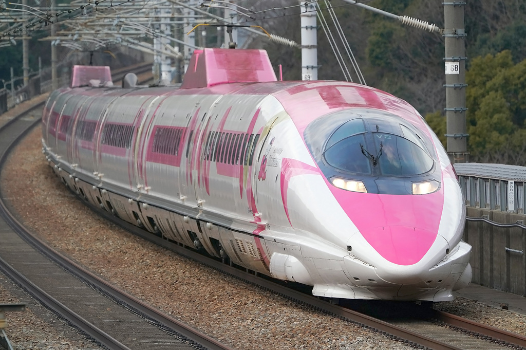 2019.3.7 ハローキティ