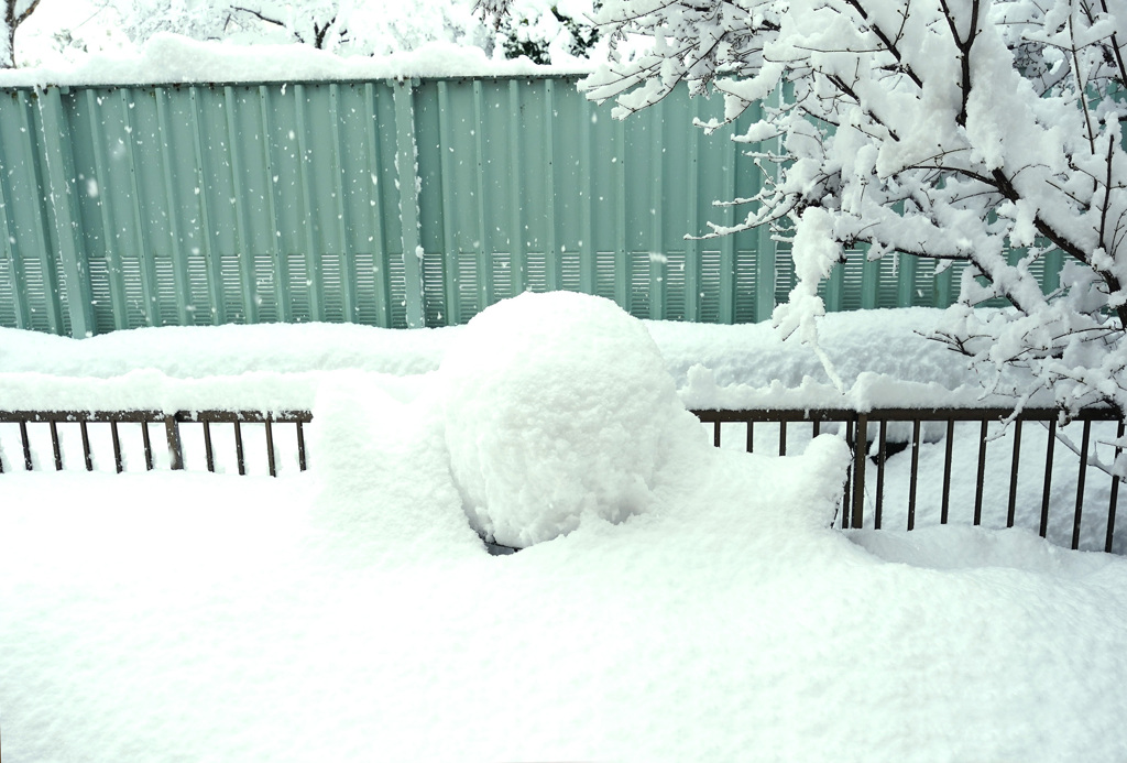今朝の積雪