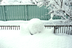 今朝の積雪