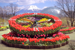 花時計