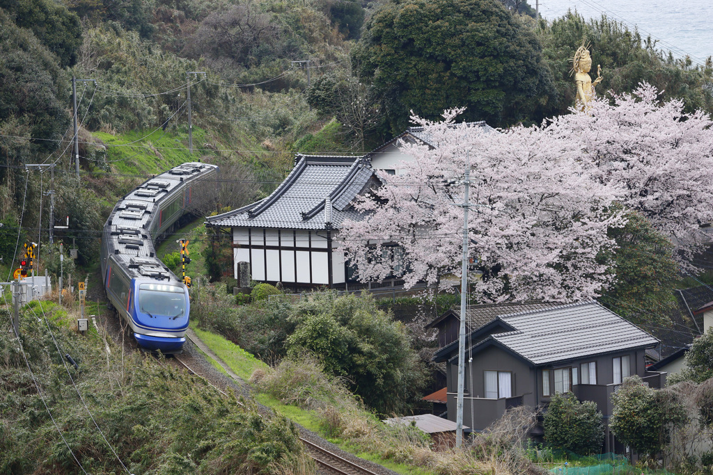 大宝寺の桜とスーパーはくと