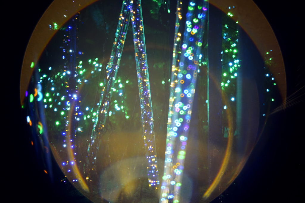 由志園イルミネーション