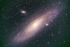 M31