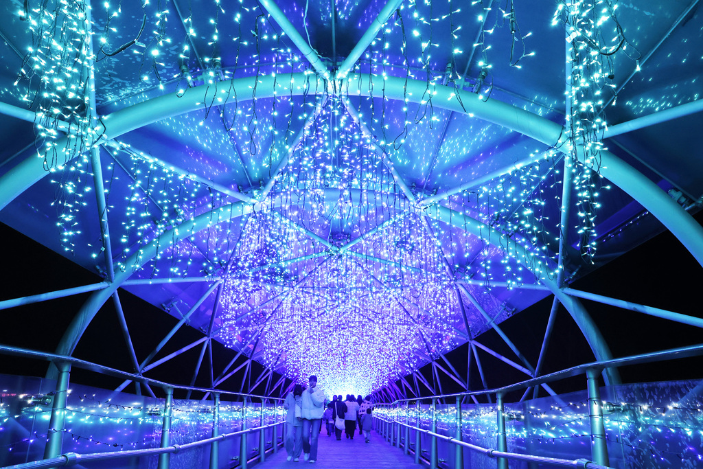 フラワーイルミネーション2025