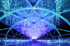 フラワーイルミネーション2025