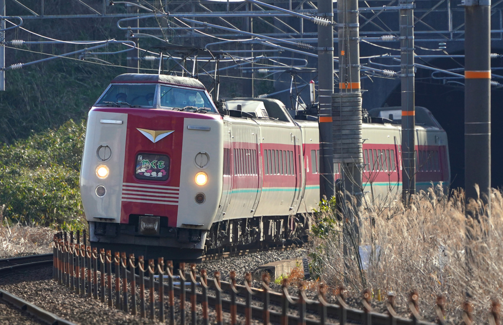 特急やくも
