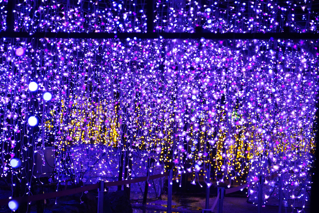 光の日本庭園 ジパング