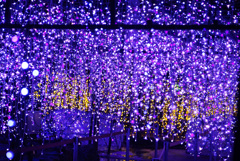 光の日本庭園 ジパング