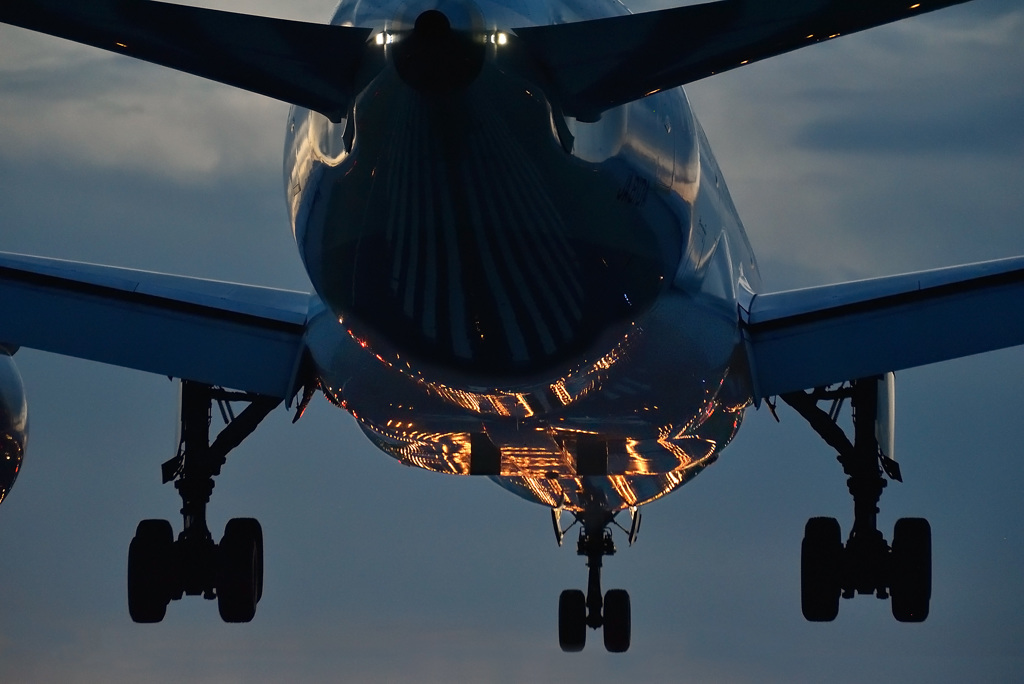 Night Arrival