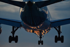 Night Arrival