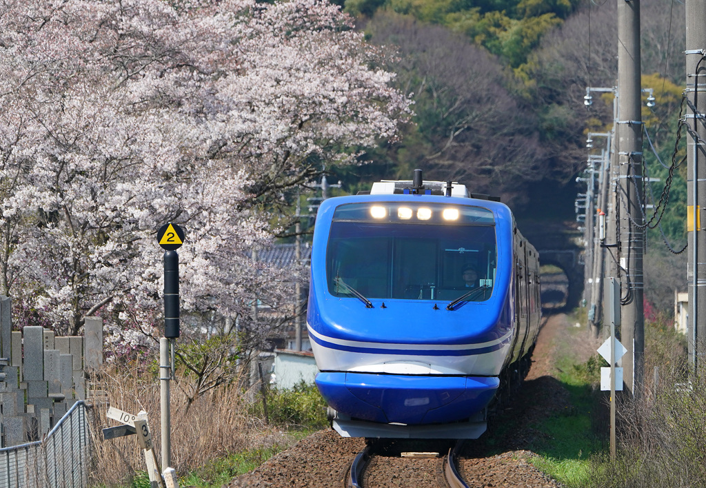 大伝寺の桜とスーパーはくと