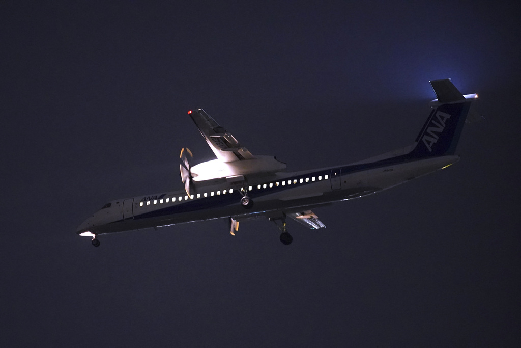 Night Arrival