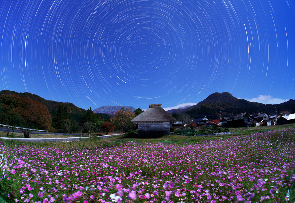 御机のコスモスと巡る北天の星