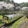 佐美の桜とコナン列車