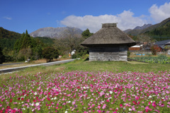 晩秋の奥大山