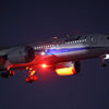 B787到着