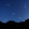 南天の春の星座