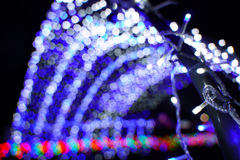 シグマ24-70 24mmF2.8玉ボケ