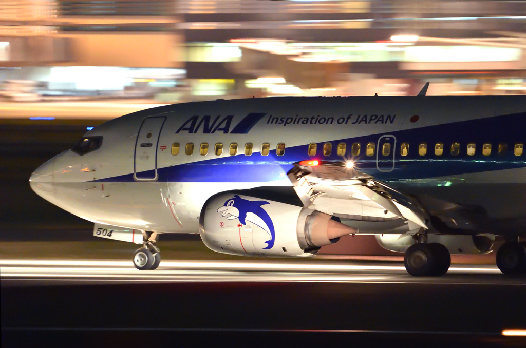 Night Arrival