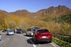 紅葉の裏大山